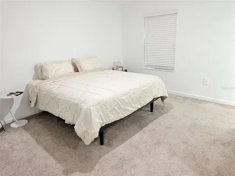 10738 Rhett Butler Alley Winter Garden FL 34787
