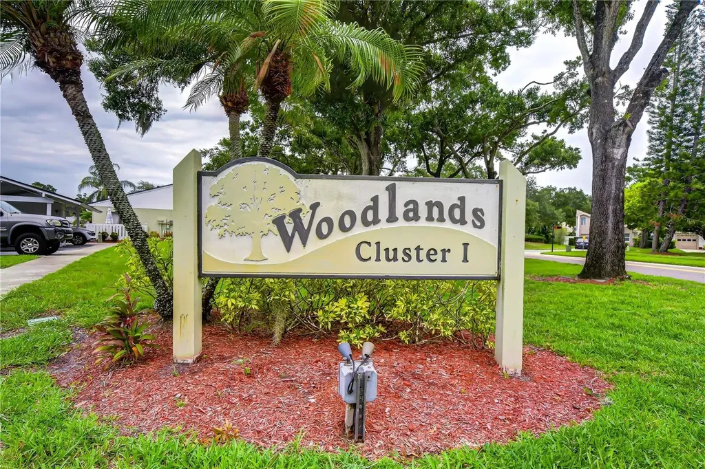 230 Cypress Place Oldsmar FL 34677