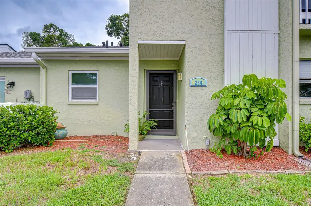 230 Cypress Place Oldsmar FL 34677