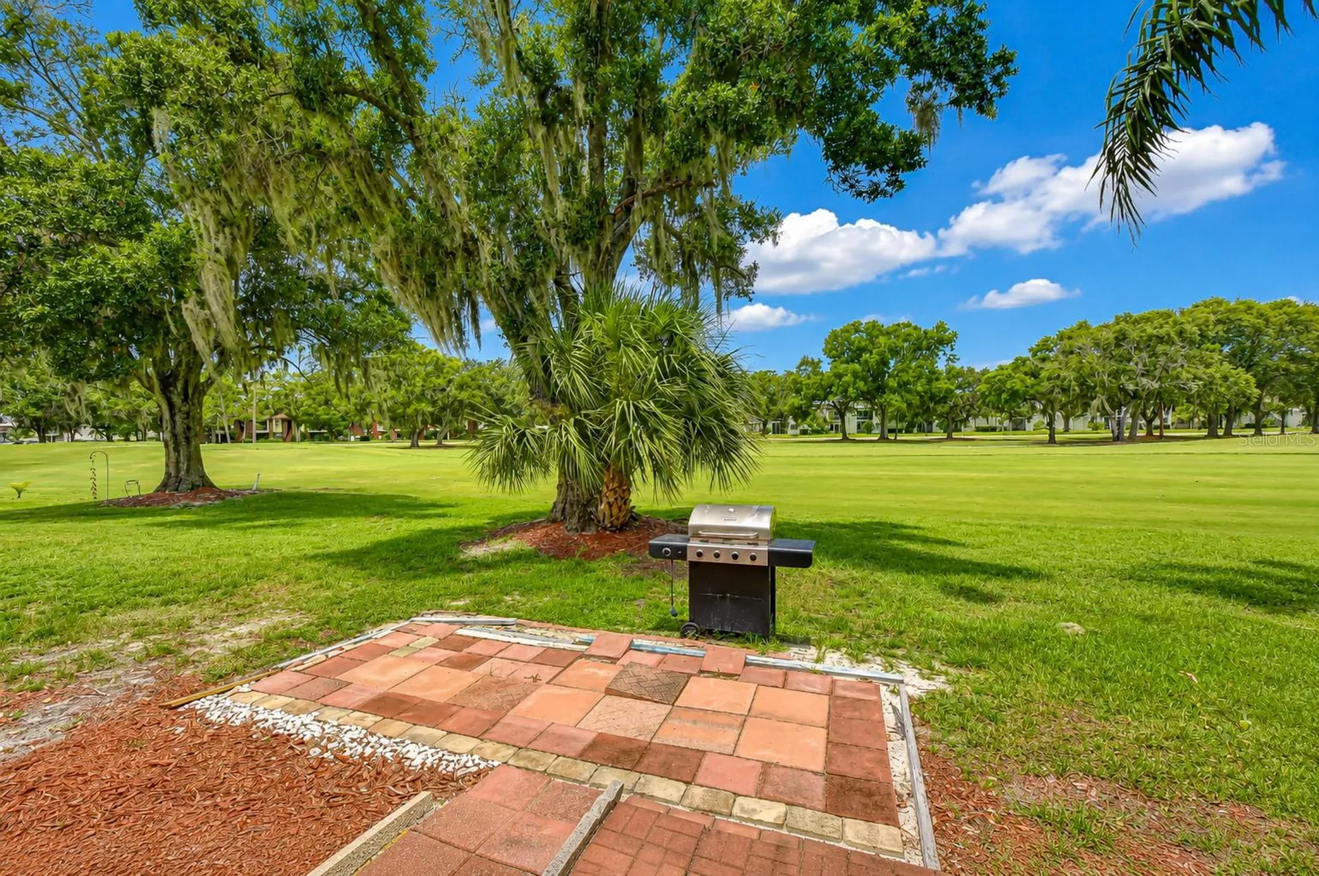 230 Cypress Place Oldsmar FL 34677