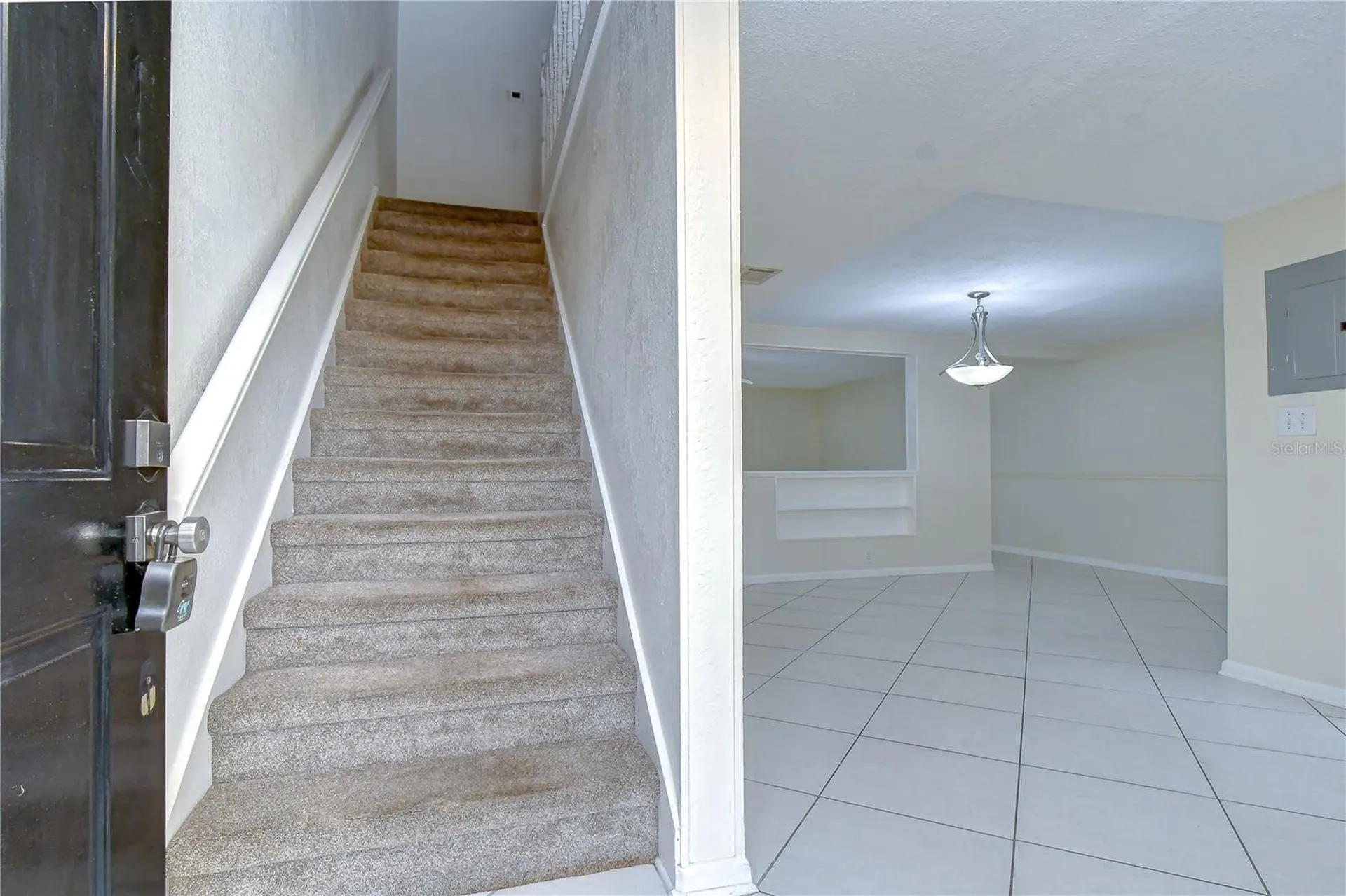 230 Cypress Place Oldsmar FL 34677