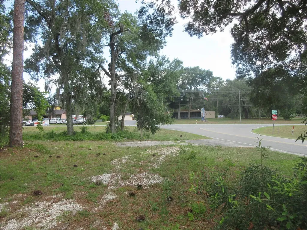 787 SE 162nd Terrace Silver Springs FL 34488