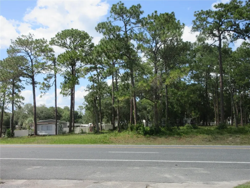 787 SE 162nd Terrace Silver Springs FL 34488