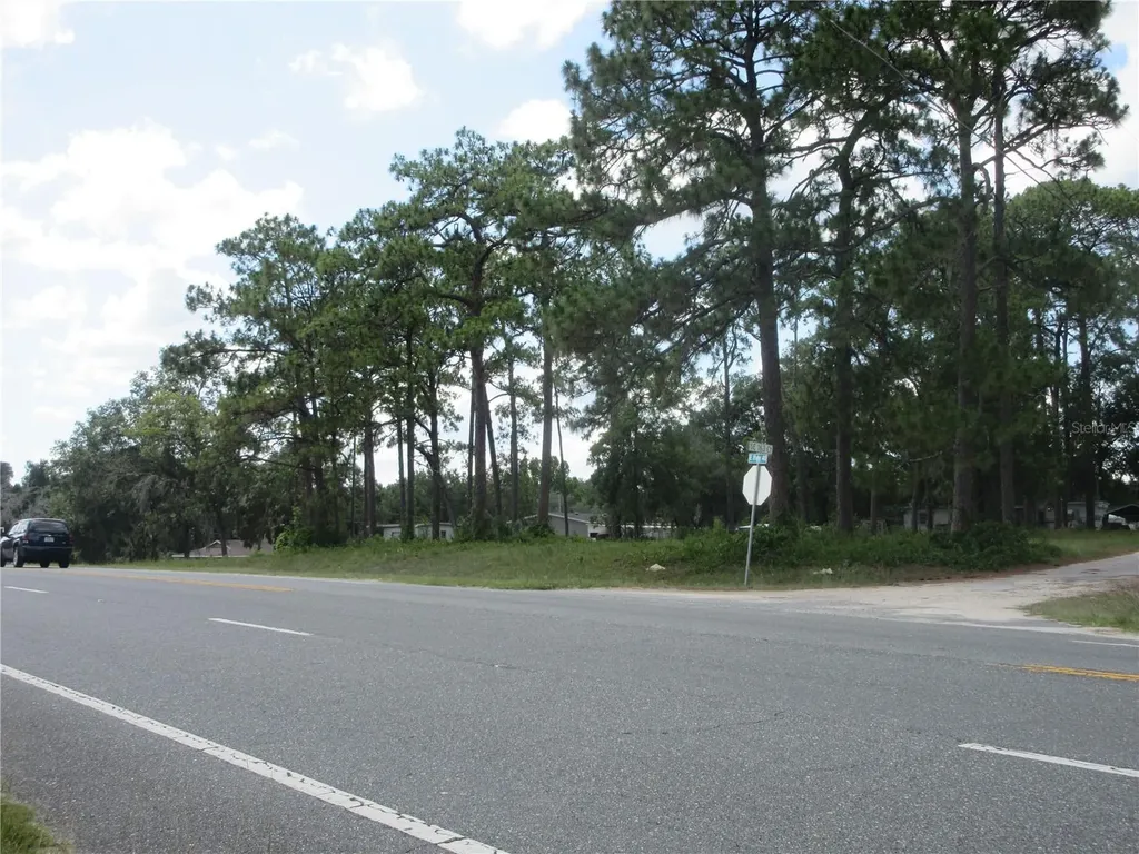 787 SE 162nd Terrace Silver Springs FL 34488
