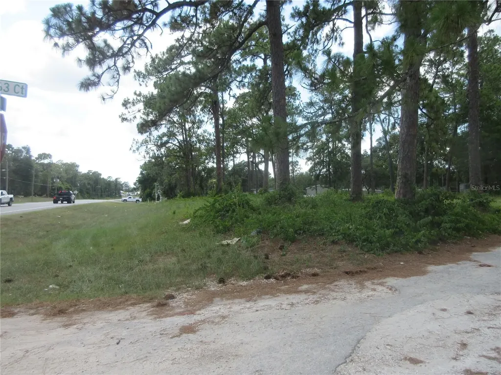 787 SE 162nd Terrace Silver Springs FL 34488