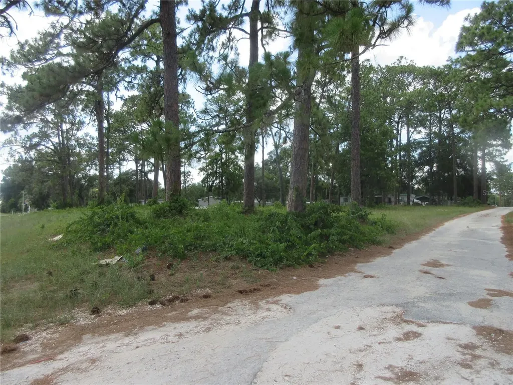 787 SE 162nd Terrace Silver Springs FL 34488