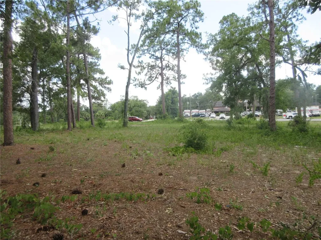 787 SE 162nd Terrace Silver Springs FL 34488