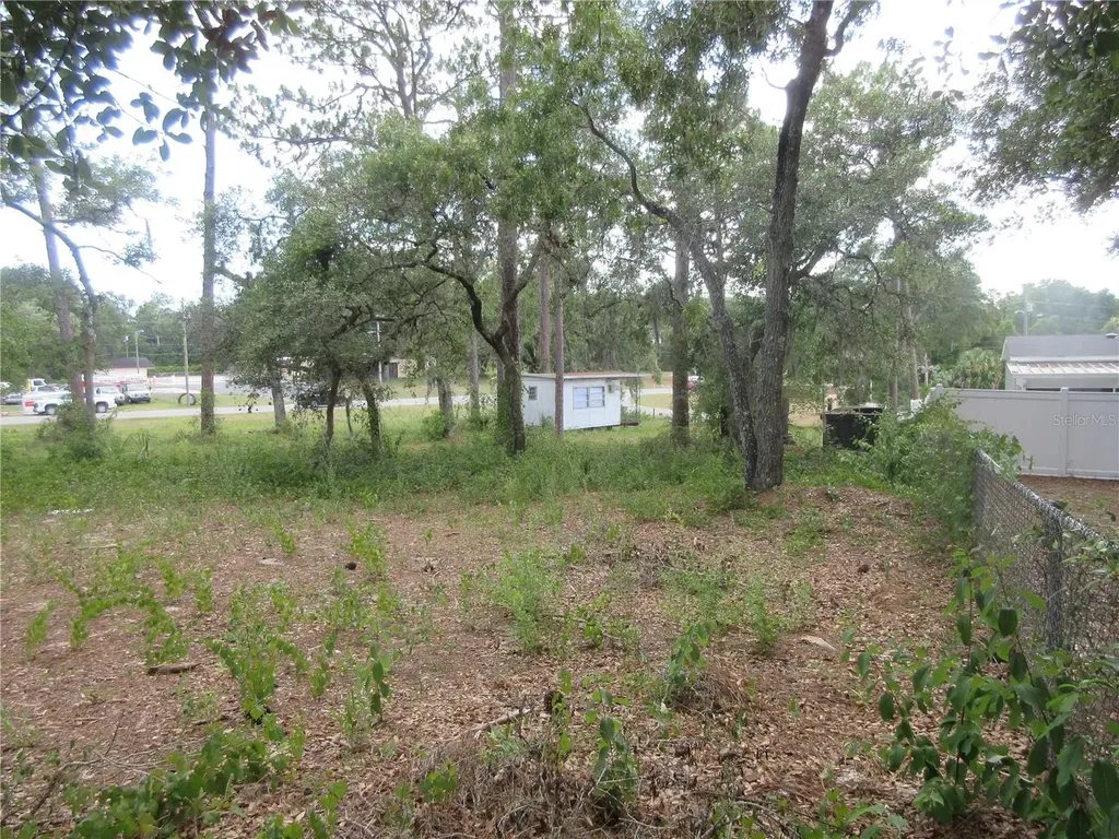 787 SE 162nd Terrace Silver Springs FL 34488