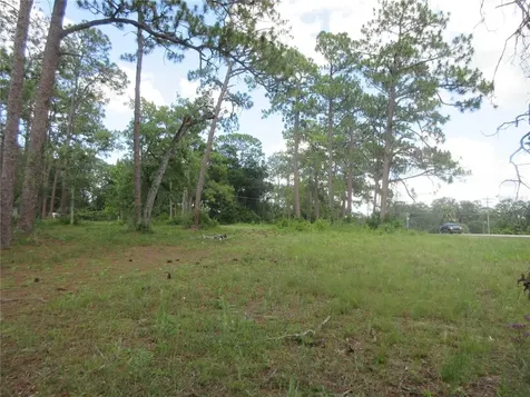 787 SE 162nd Terrace Silver Springs FL 34488