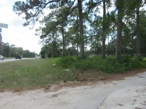 787 SE 162nd Terrace Silver Springs FL 34488