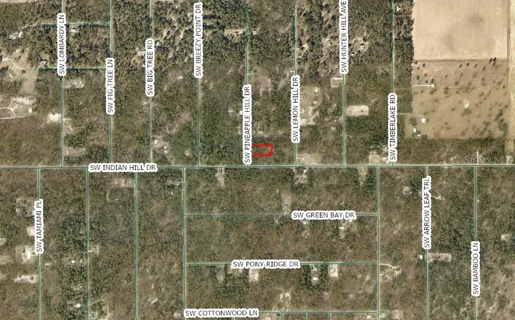 SW Pineapple Hill Drive Dunnellon FL 34431