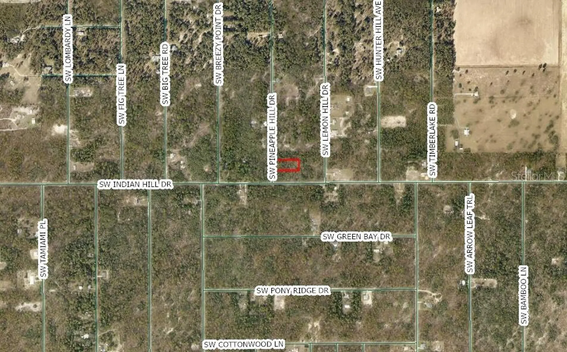 SW Pineapple Hill Drive Dunnellon FL 34431