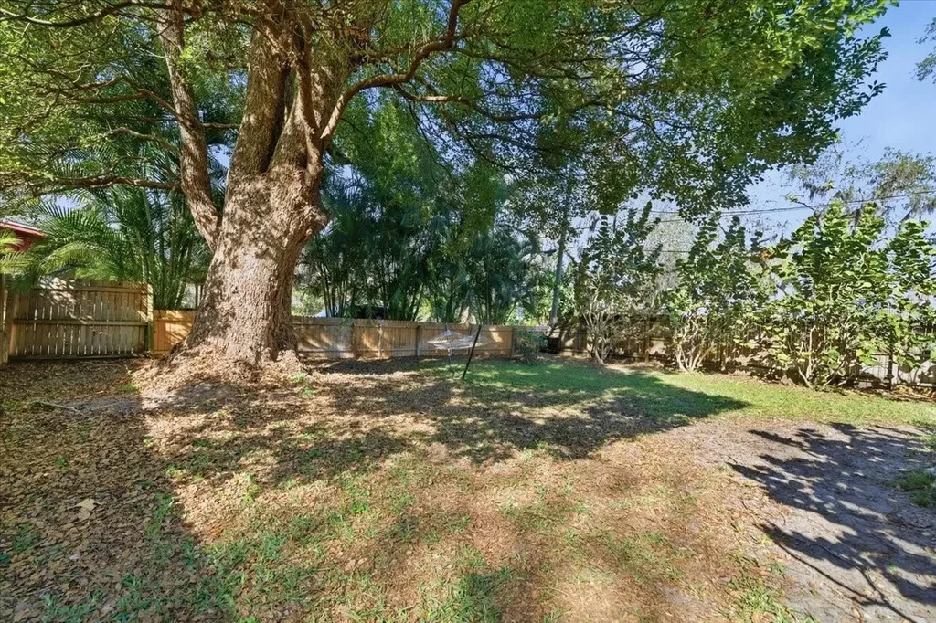 12330 N Rome Avenue Tampa FL 33612