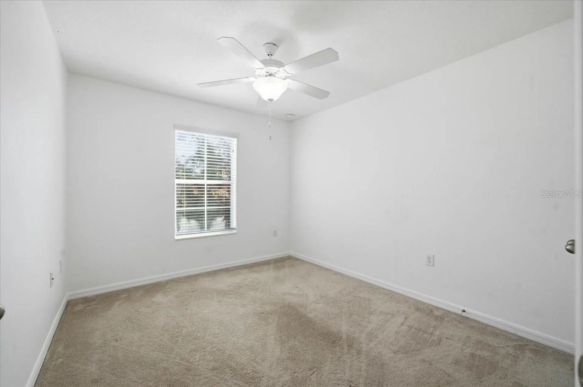 12330 N Rome Avenue Tampa FL 33612