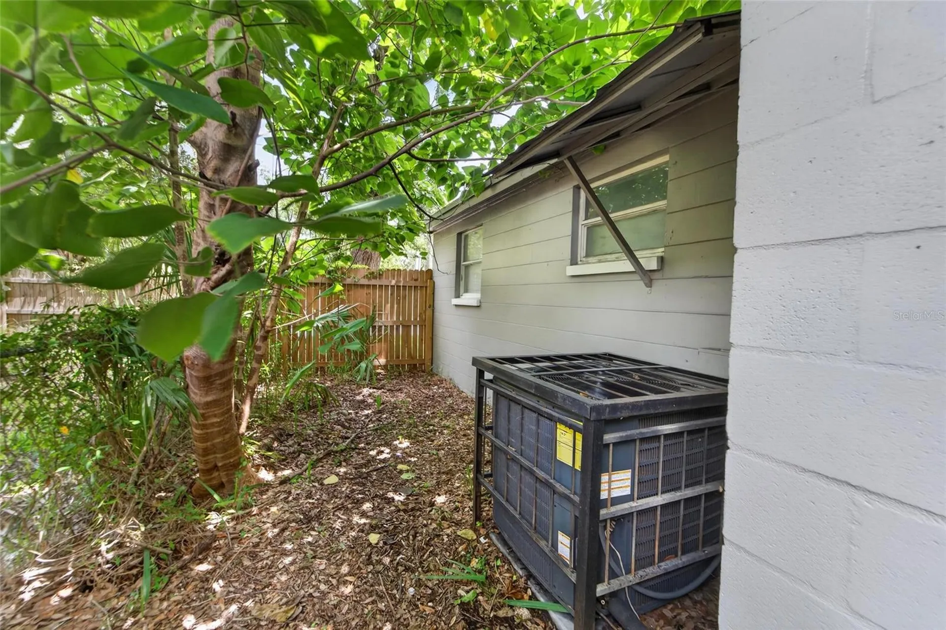 1703 E Idell Street Tampa FL 33604