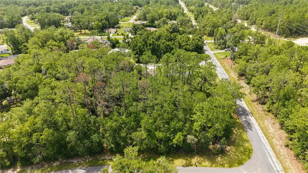 1320 W Sorrento Drive Citrus Springs FL 34434