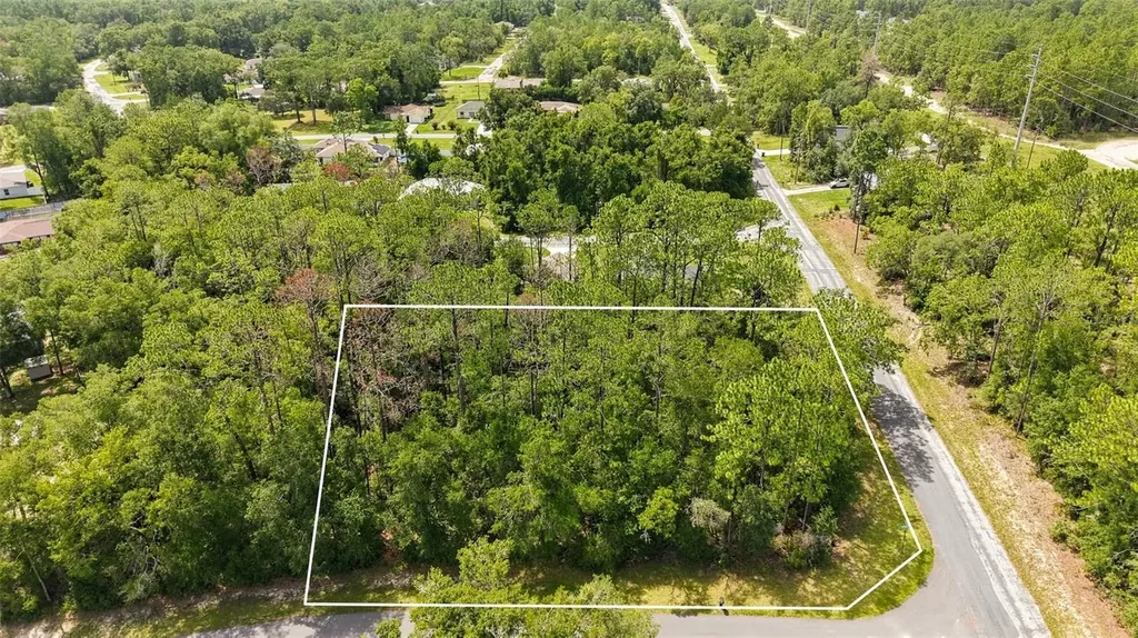 1320 W Sorrento Drive Citrus Springs FL 34434