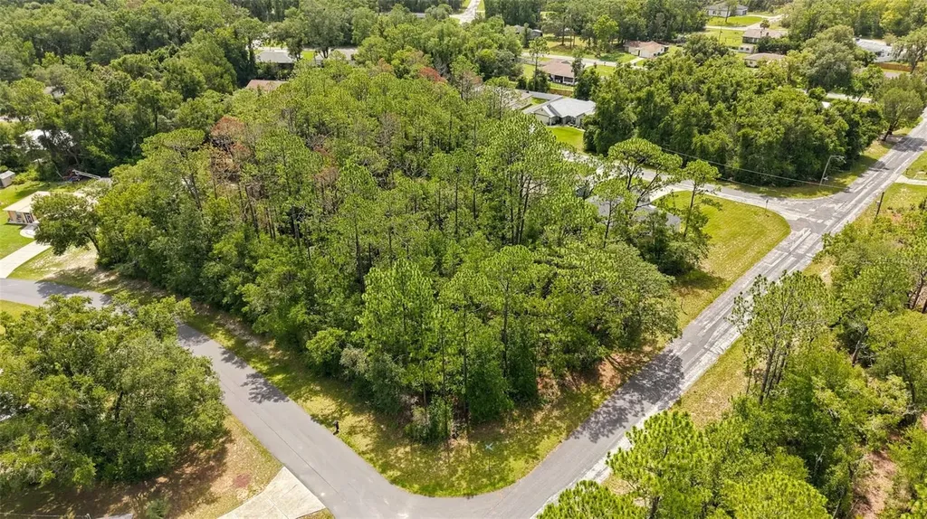 1320 W Sorrento Drive Citrus Springs FL 34434