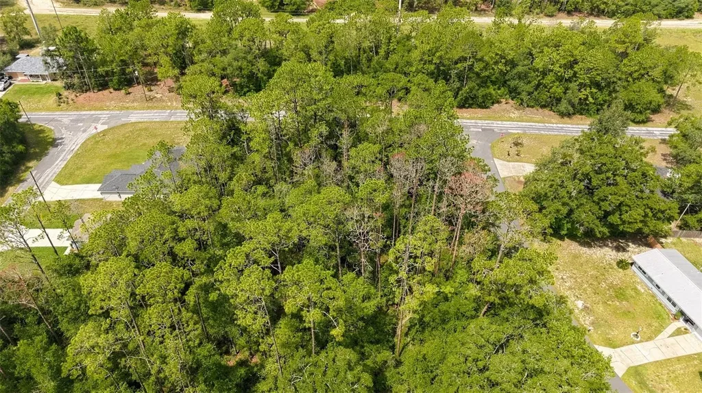 1320 W Sorrento Drive Citrus Springs FL 34434