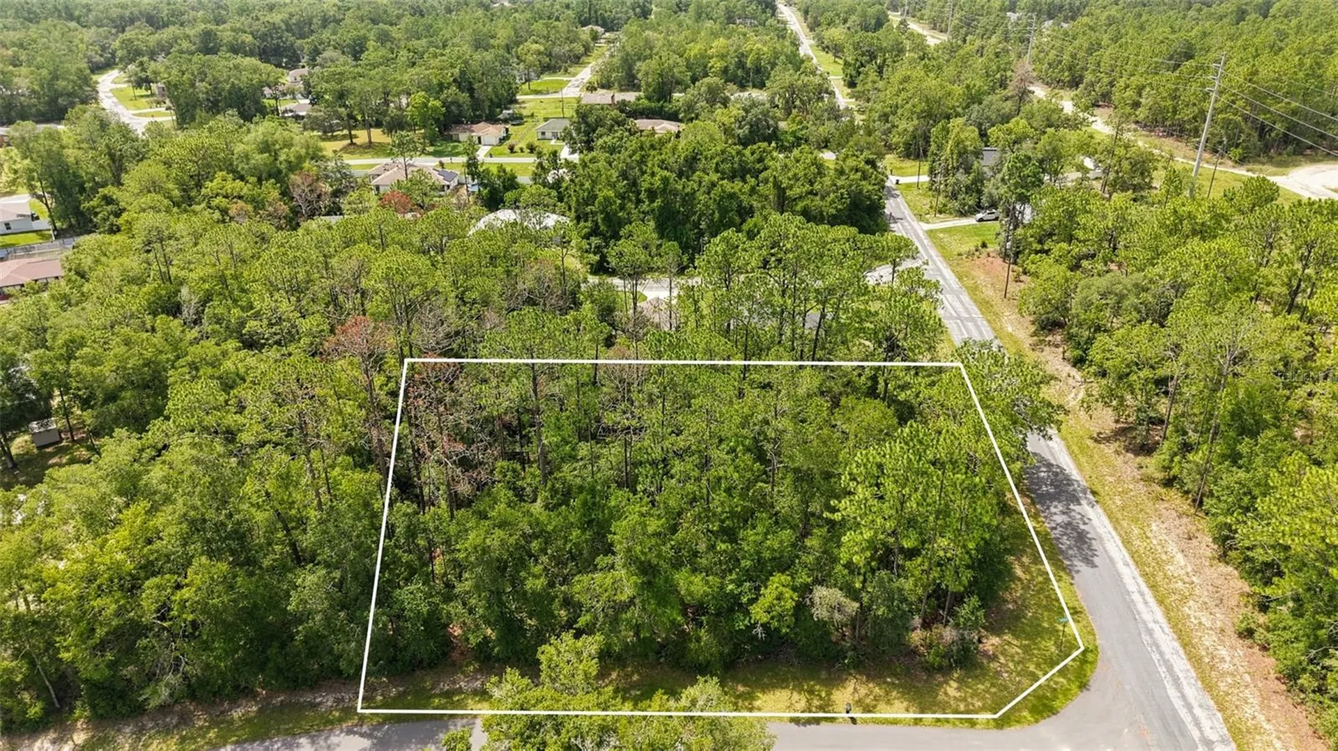 1320 W Sorrento Drive Citrus Springs FL 34434
