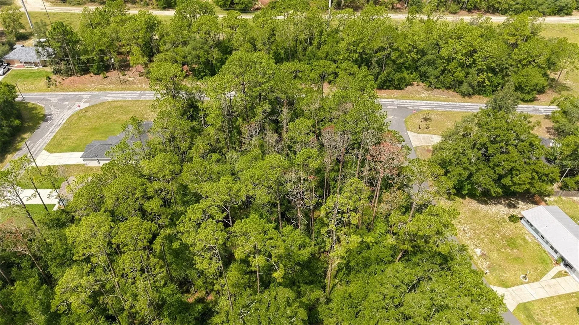 1320 W Sorrento Drive Citrus Springs FL 34434