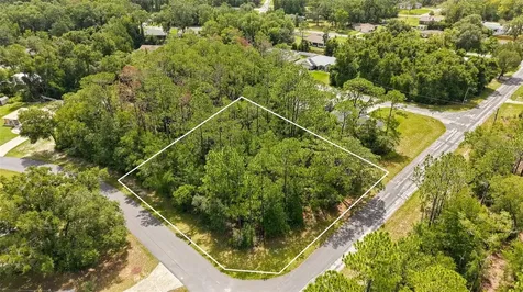 1320 W Sorrento Drive Citrus Springs FL 34434