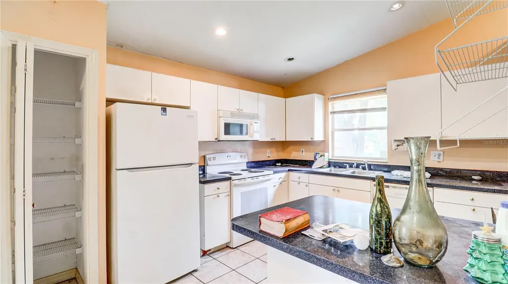 3419 E Diana Street Tampa FL 33610