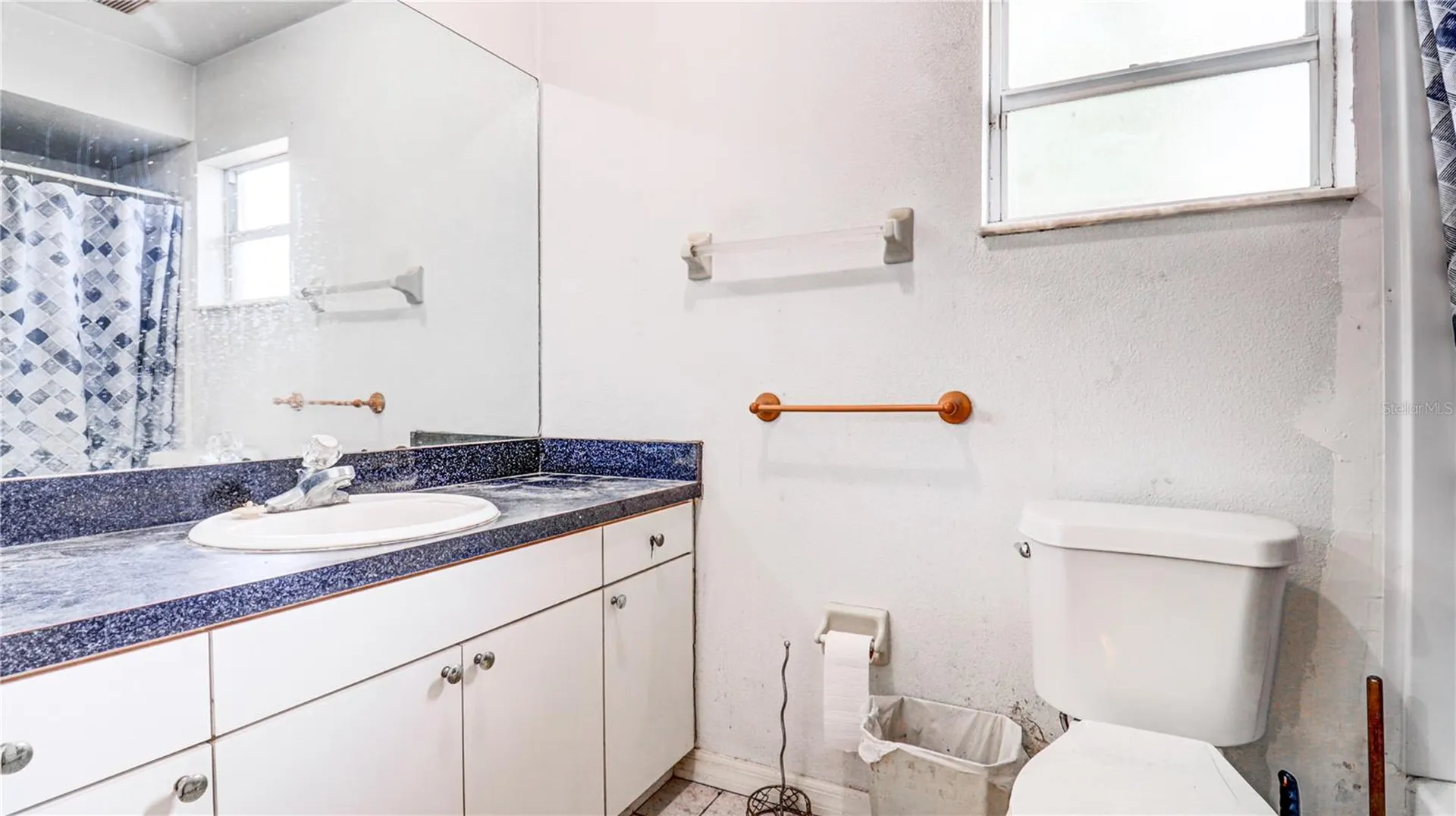 3419 E Diana Street Tampa FL 33610
