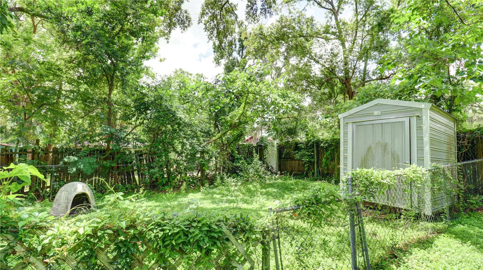 3419 E Diana Street Tampa FL 33610