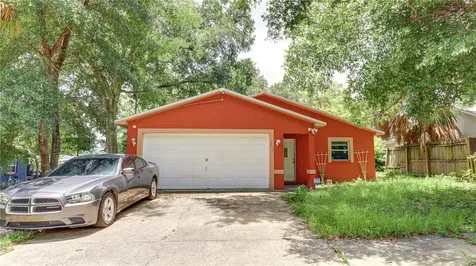 3419 E Diana Street Tampa FL 33610