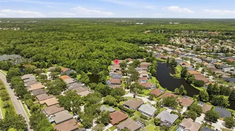 10212 Newington Place Tampa FL 33626