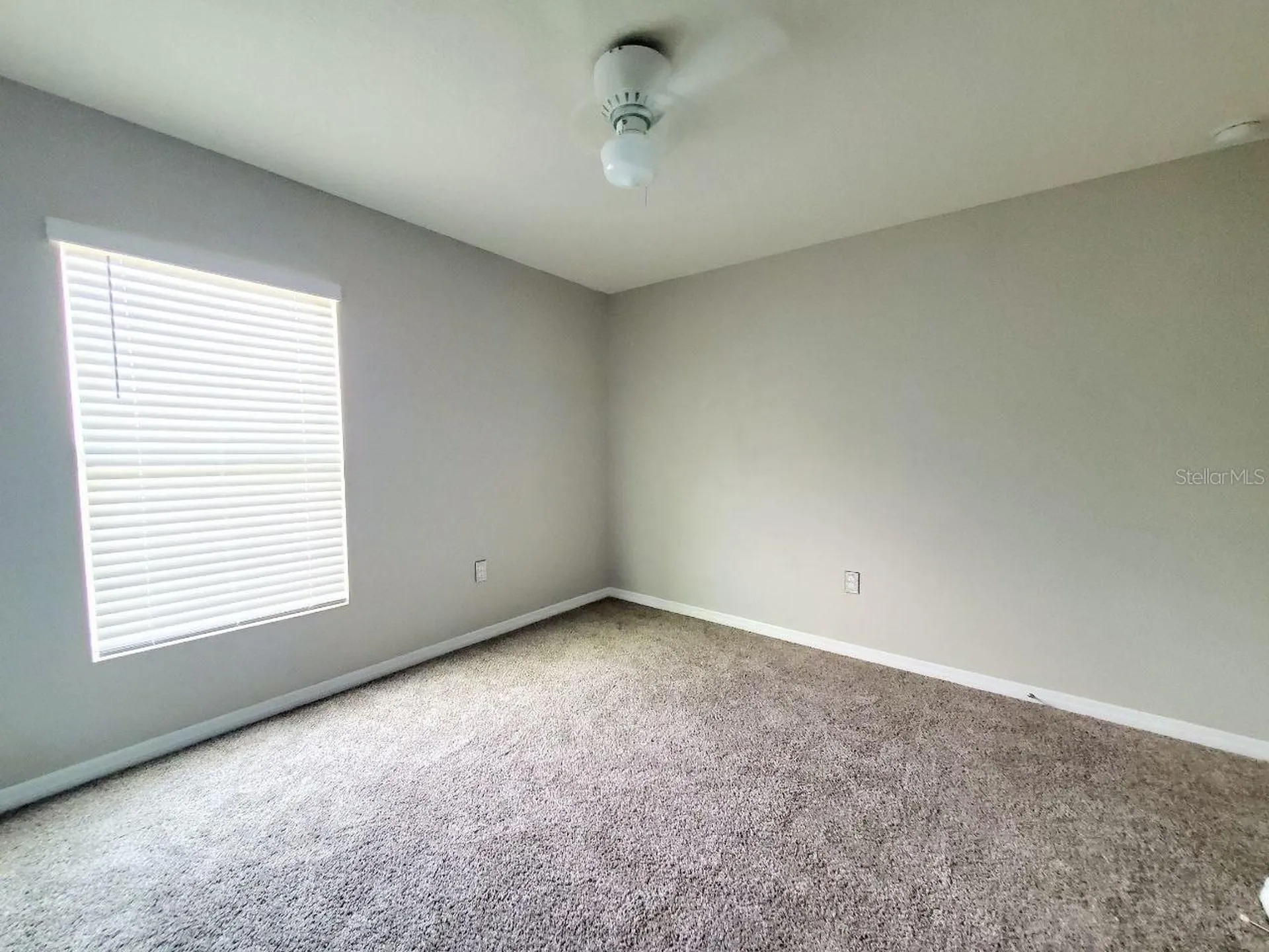1014 Golden Shiner Avenue Ruskin FL 33570