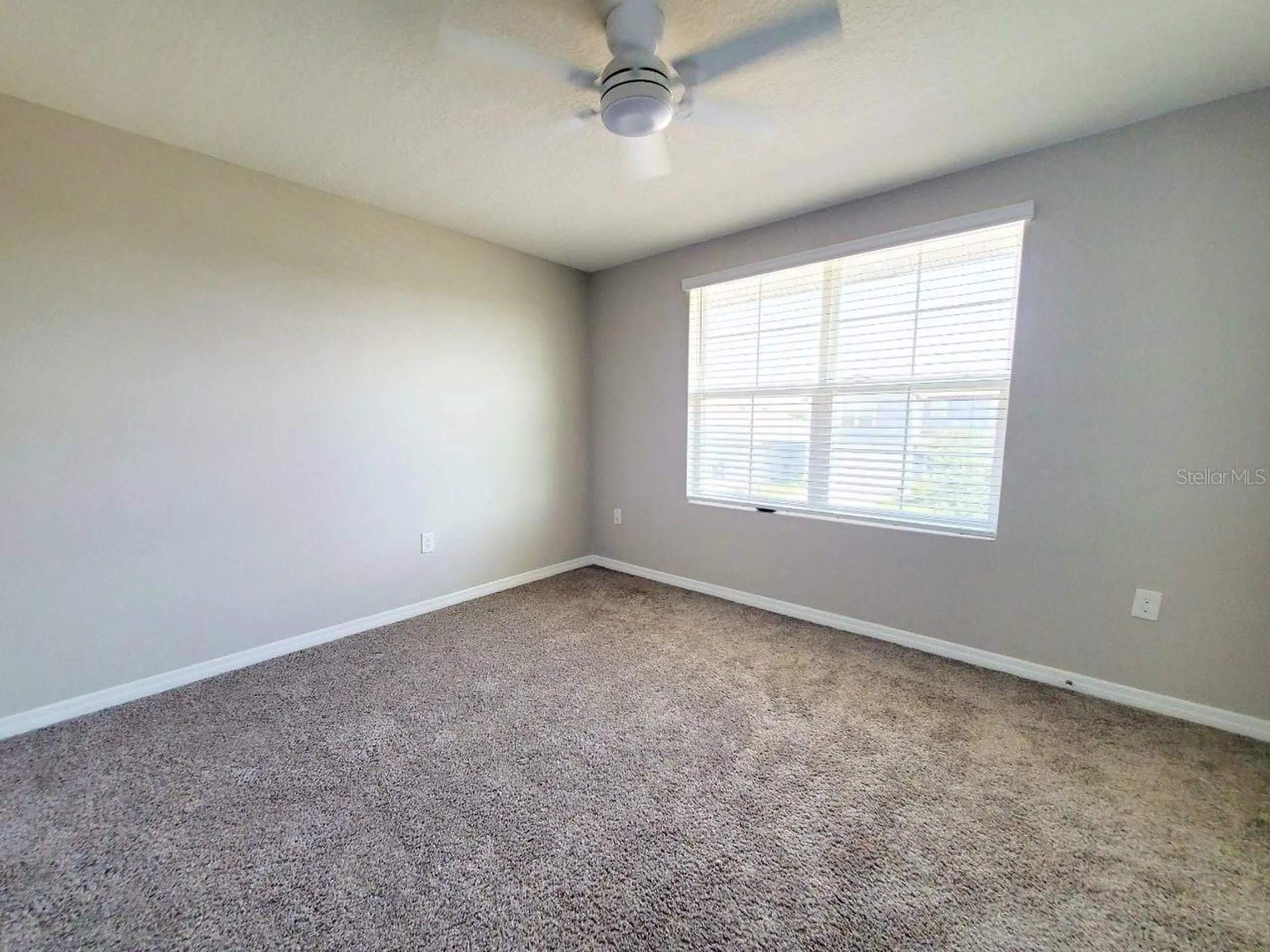 1014 Golden Shiner Avenue Ruskin FL 33570