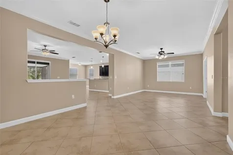 5828 Puzo Place Mount Dora FL 32757