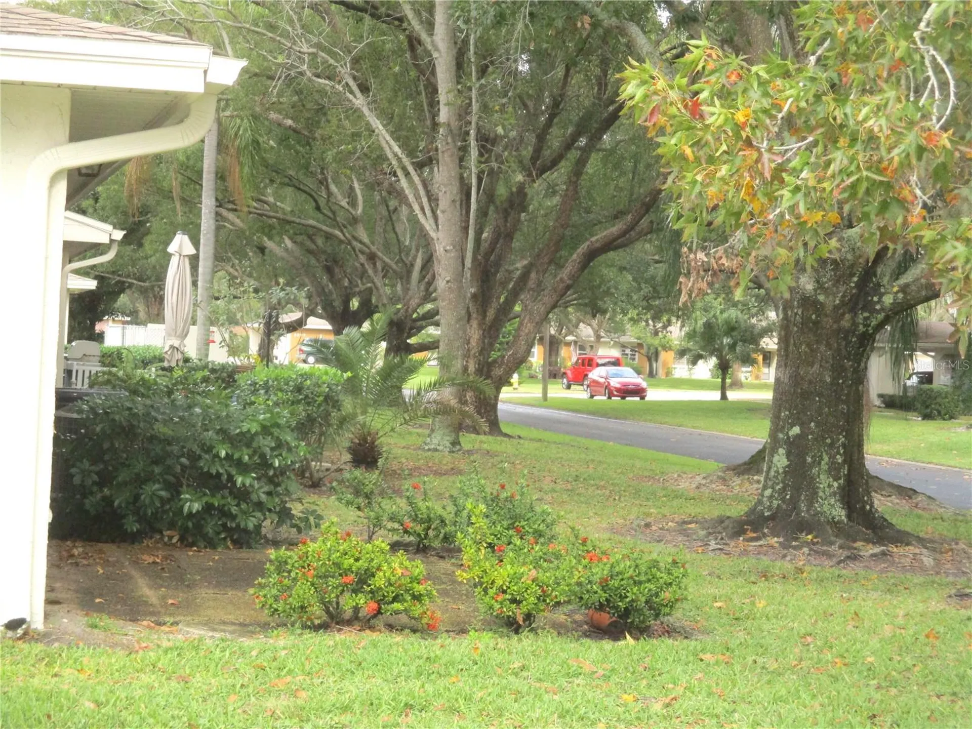 2225 Lark Circle W Palm Harbor FL 34684
