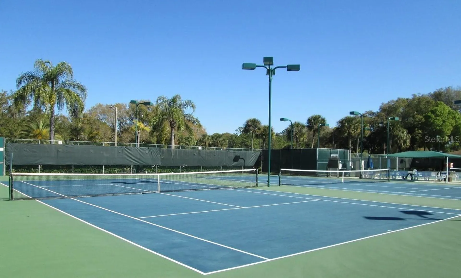 2225 Lark Circle W Palm Harbor FL 34684