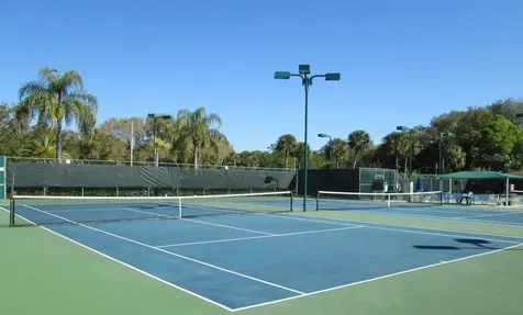 2225 Lark Circle W Palm Harbor FL 34684