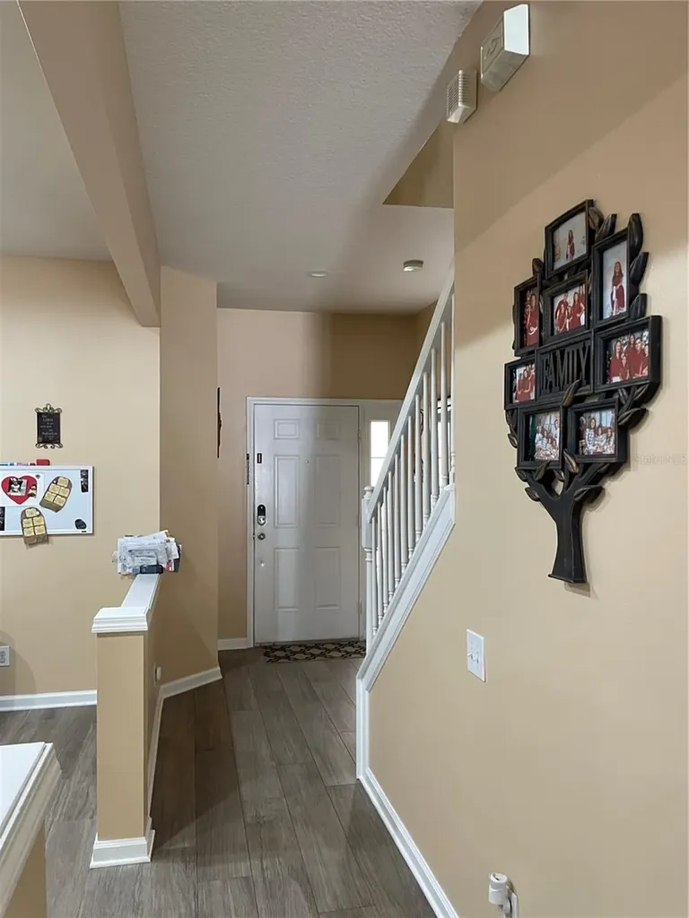 8428 Sandy Beach Street Tampa FL 33634