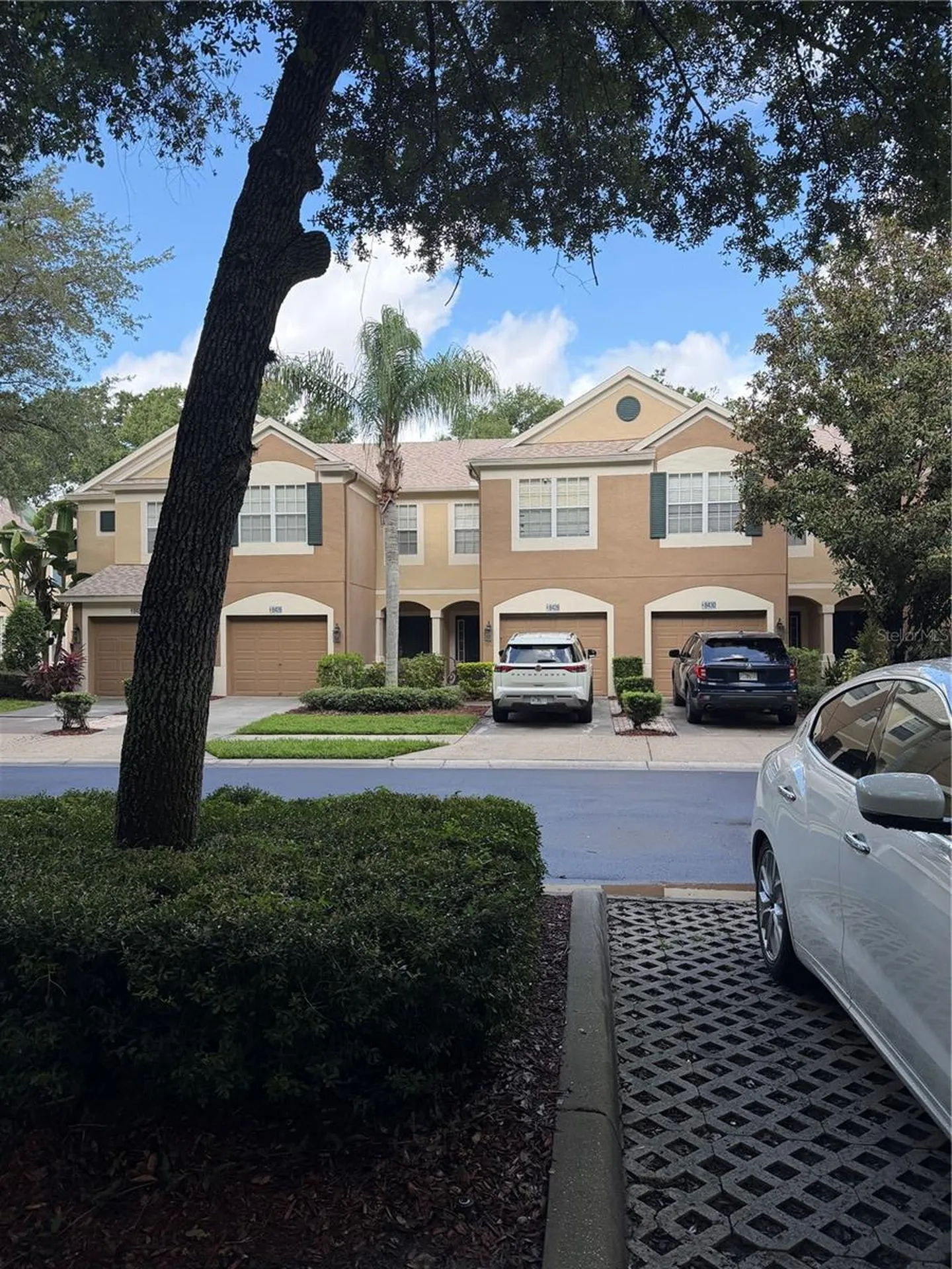 8428 Sandy Beach Street Tampa FL 33634