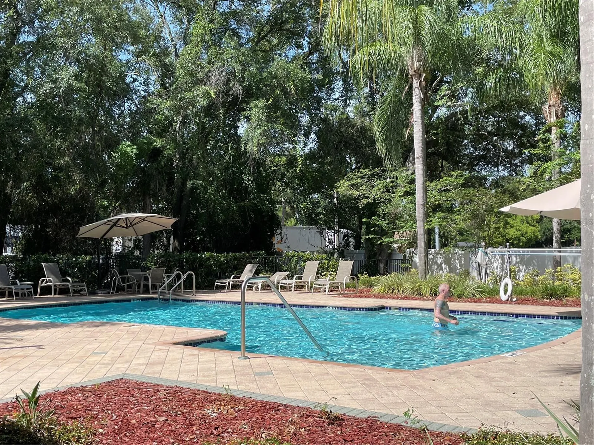 8428 Sandy Beach Street Tampa FL 33634