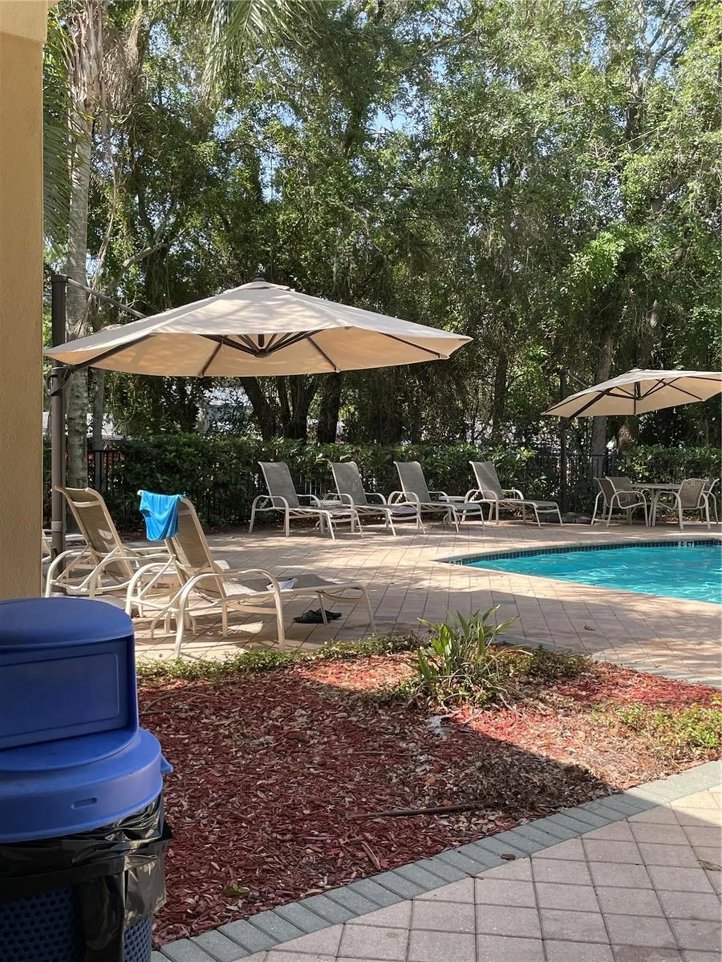 8428 Sandy Beach Street Tampa FL 33634