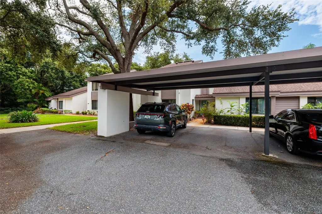 1750 Lake Cypress Drive Safety Harbor FL 34695