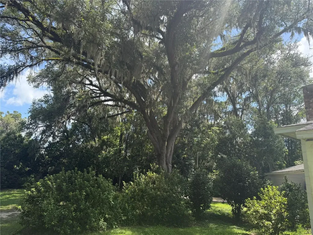 298 N Court Street Bronson FL 32621