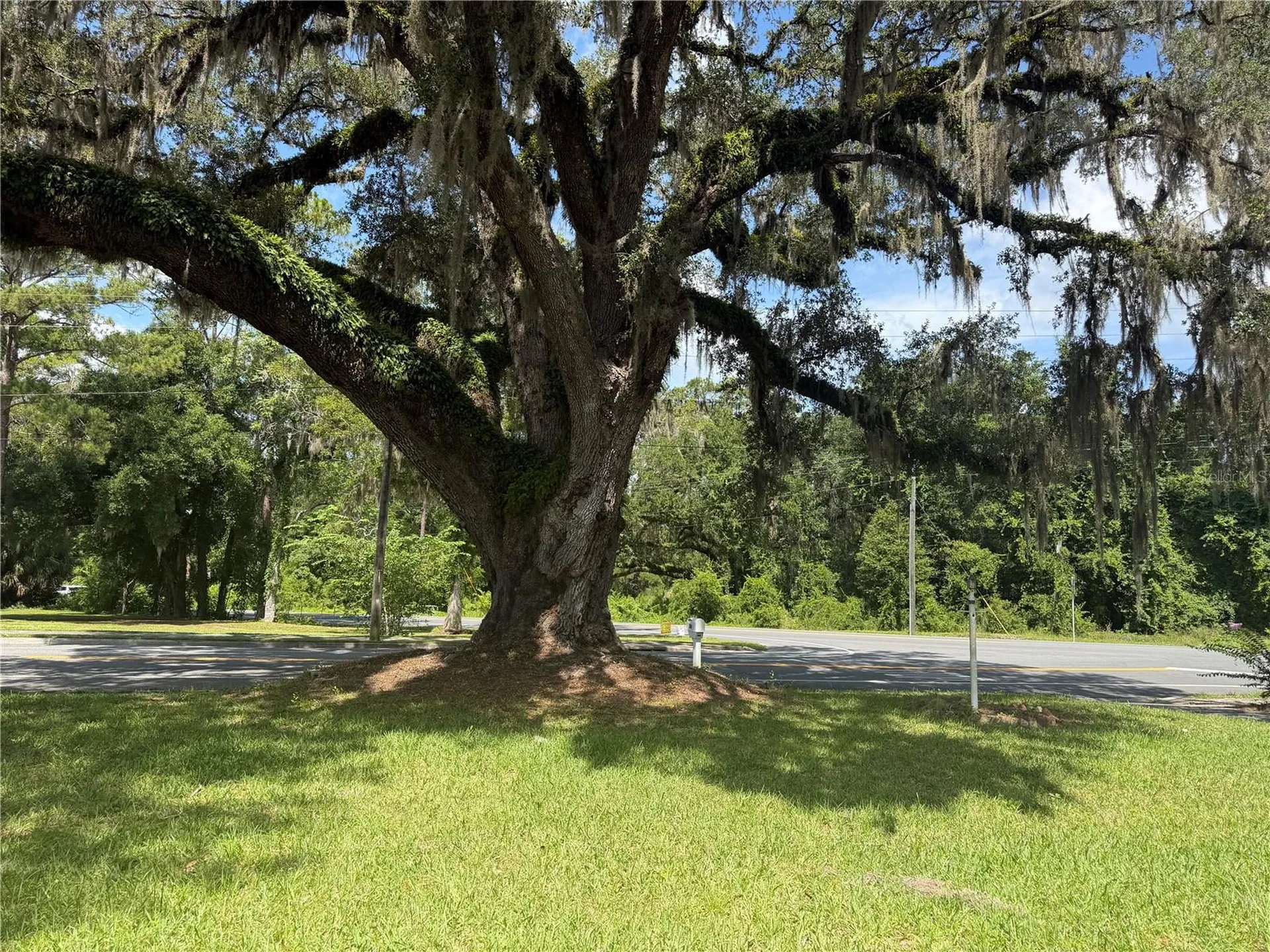 298 N Court Street Bronson FL 32621