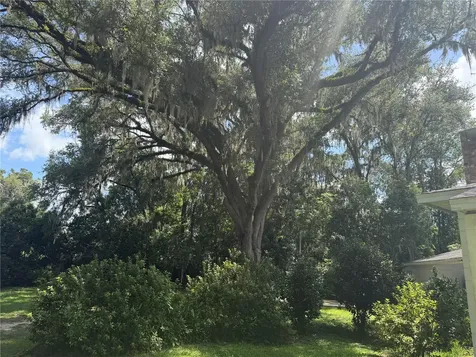298 N Court Street Bronson FL 32621