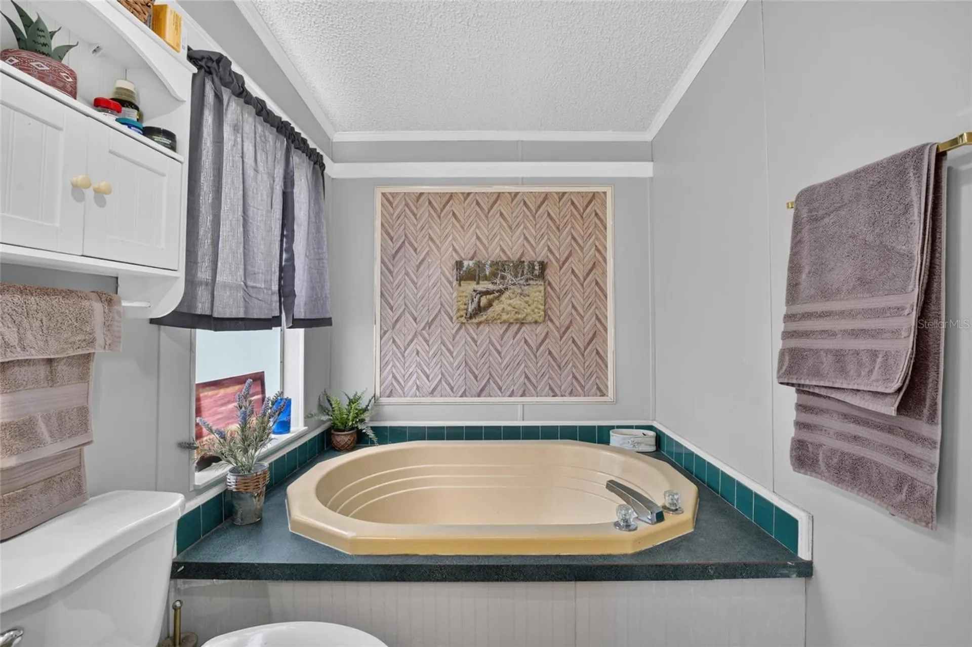 5730 SE 120th Avenue Morriston FL 32668