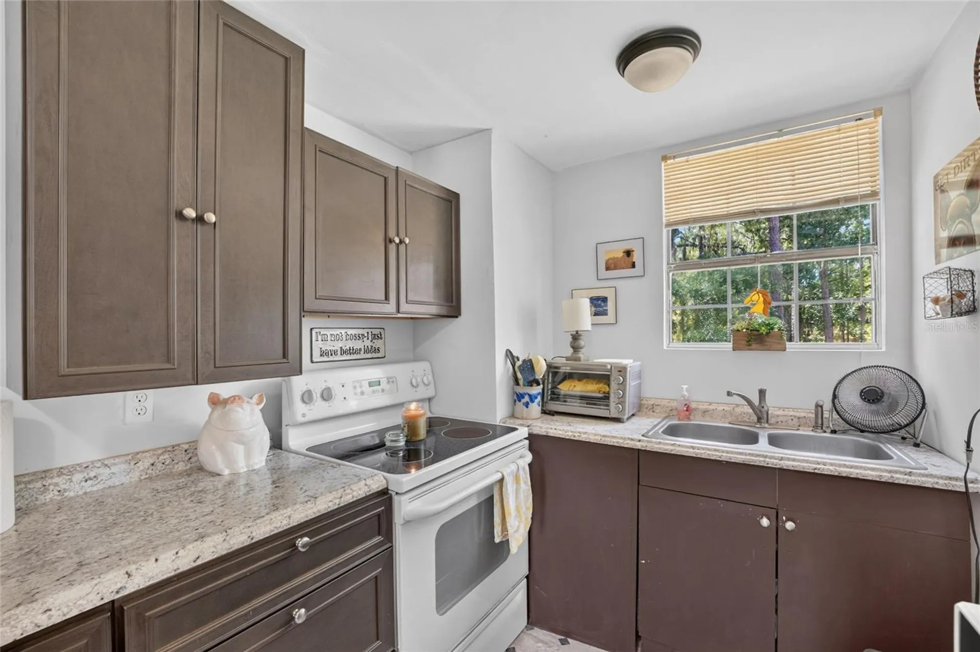 5730 SE 120th Avenue Morriston FL 32668