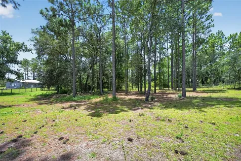 5730 SE 120th Avenue Morriston FL 32668