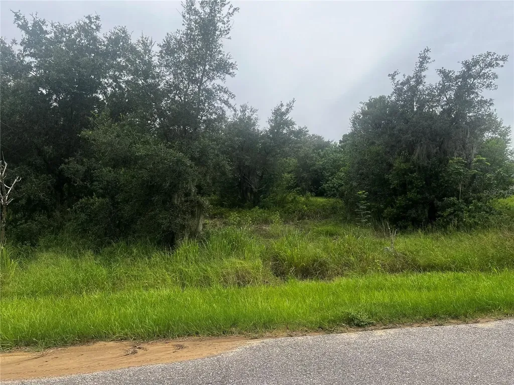 2370 Lake Easy Road Babson Park FL 33827