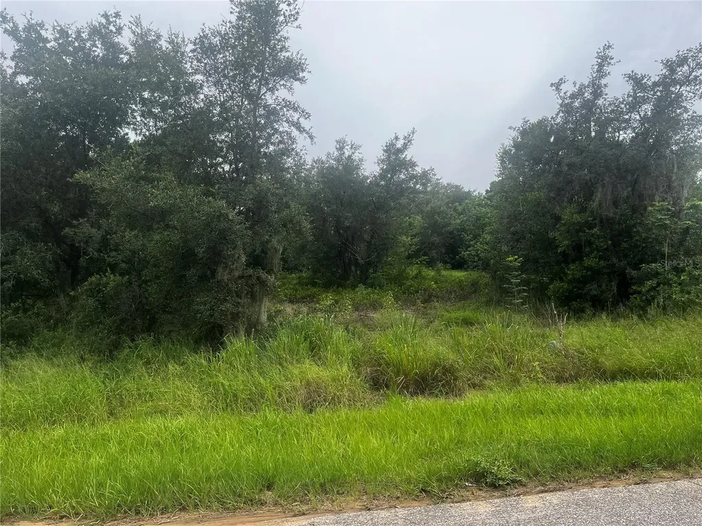 2370 Lake Easy Road Babson Park FL 33827